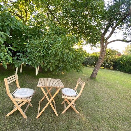 Au Paradis D'Alsace 55 M2 Nature & Relax Ingwiller Екстер'єр фото